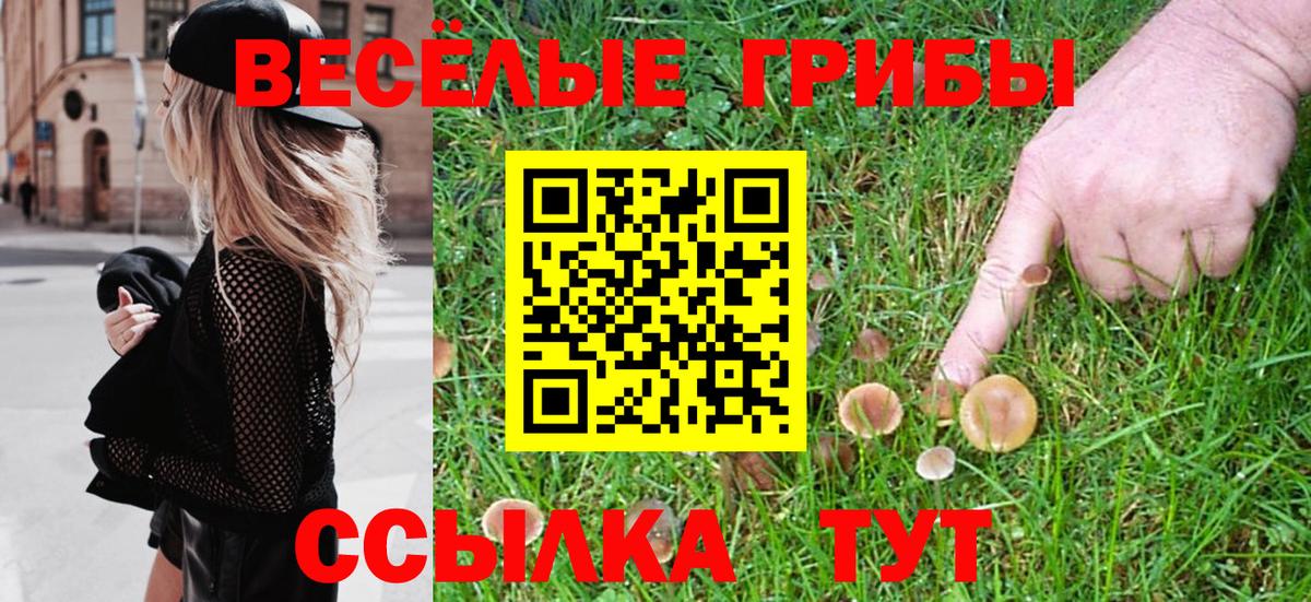 Псилоцибиновые грибы Psilocybine cubensis  Вход с VPN  Мелеуз 