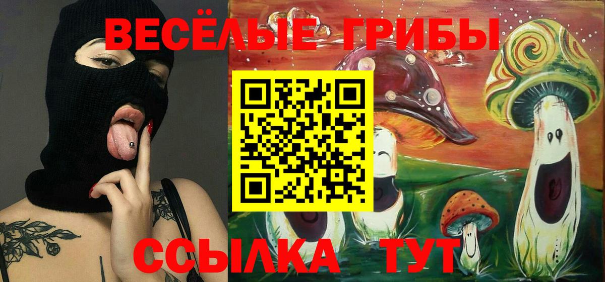 Галлюциногенные грибы Psilocybine cubensis Мелеуз